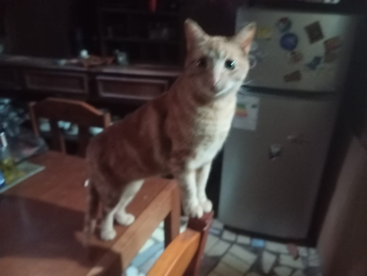 Rodrigo Morales - Foto Profesional